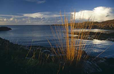 Loch
                            Cuin by Nic Davies