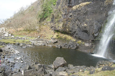 Eas Force pool