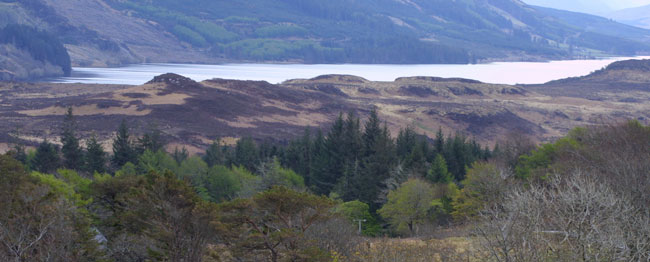 Loch Frisa