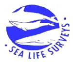 Boat trips for the wildlife enthusiast
