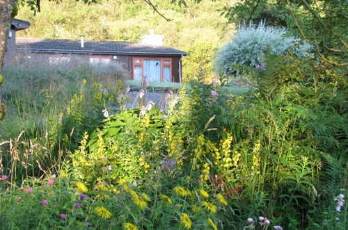 Wildflowers and Inch Hame