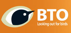 BTO