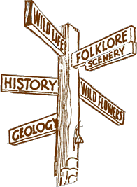 Signpost