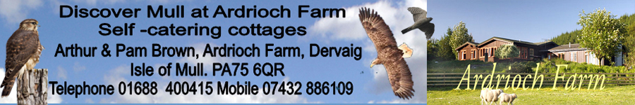 DM
                  self-catering Banner 2