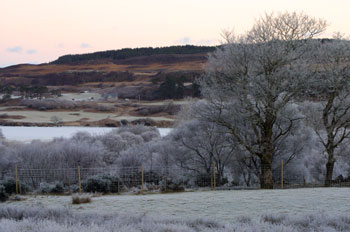 View in the ice