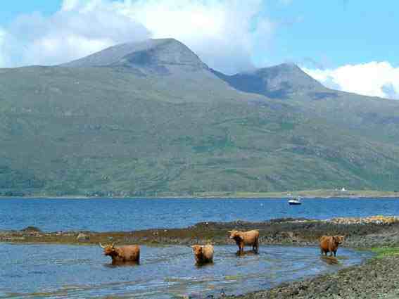 Ben
                              More and Loch Scirdain