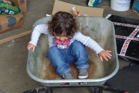 Nia helping Grandpa
                                              in the shed