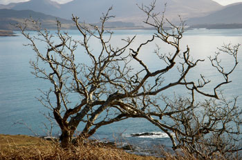 Loch Tuath down to Ulva
                                      Ferry