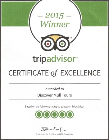 Trip
                                    Advisor 2015