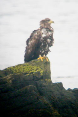 WTSE on Loch Cuin